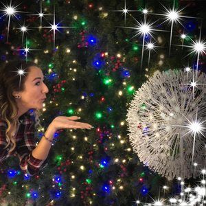 Meet your Posher, Holly